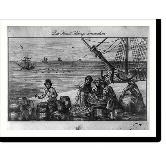 Historic Print, Die Kunst Hringe einzusalzen, 16" x 20"