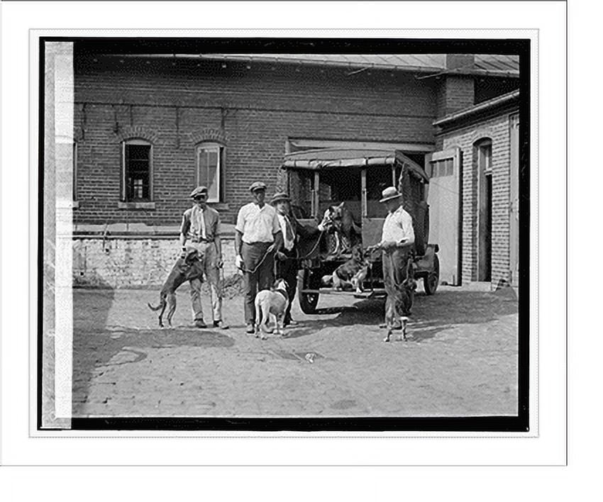 Historic Print, Dog catchers, 16" x 20"