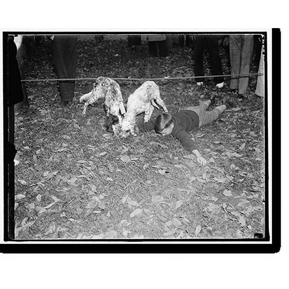 Historic Print, Dog mart - 2, 18" x 24"
