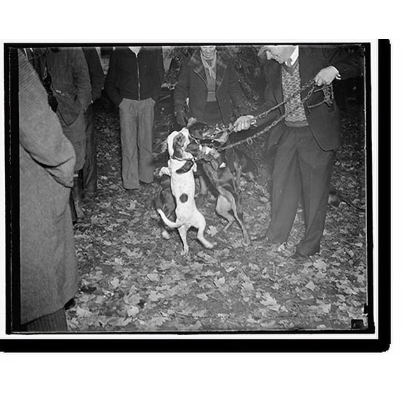 Historic Print, Dog mart - 3, 18" x 24"