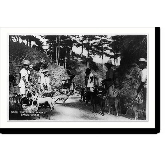 Historic Print, Dogs for Igorot market, Baguio, 16" x 20"
