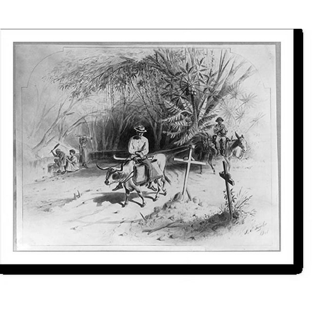 Historic Print, [Dominican Republic, 1871] Method of equestrian travel