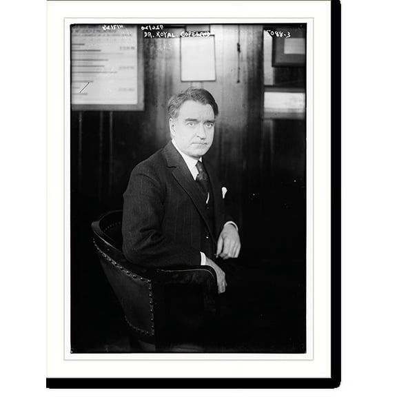 Historic Print, Dr. Royal Copeland - 3, 16" x 20"