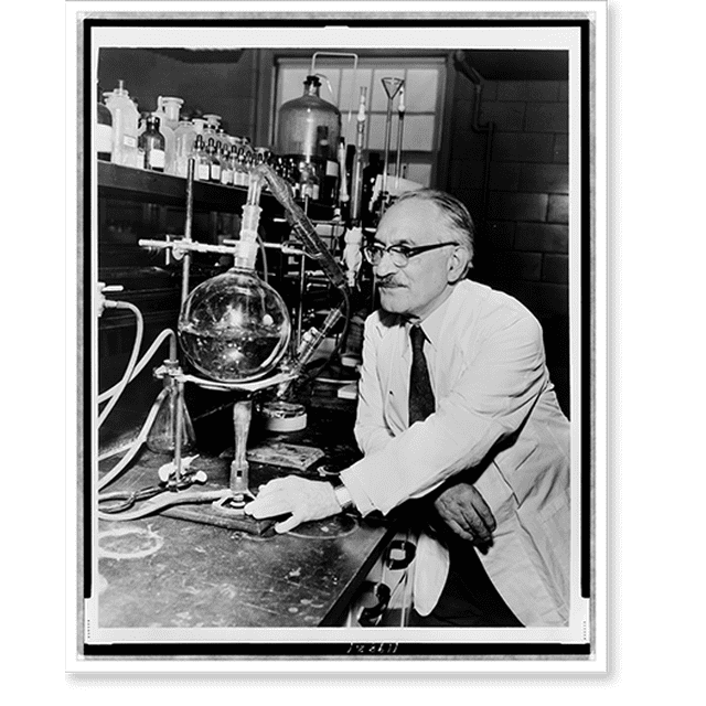 Historic Print, [Dr. Selman Waksman, halflength portrait, facing left