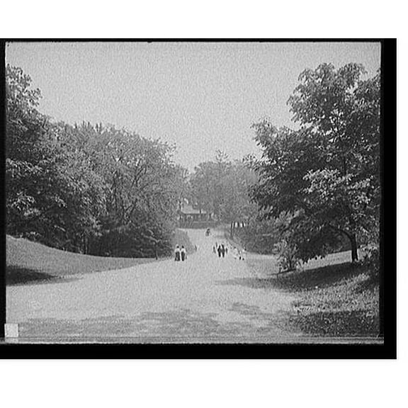Historic Print, Drive in Forest Park, Springfield, Mass., 16" x 20"