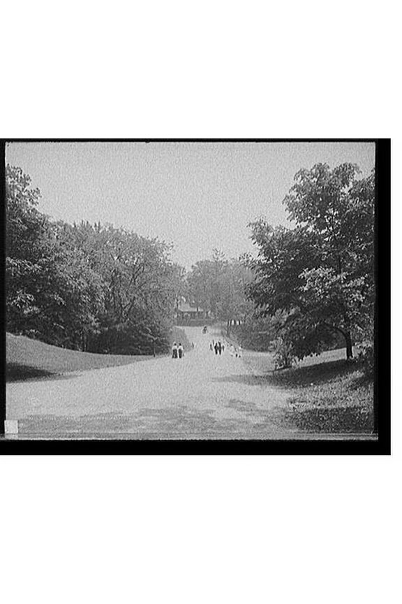 Historic Print, Drive in Forest Park, Springfield, Mass., 18" x 24"