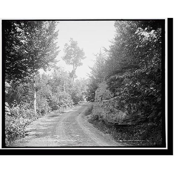Historic Print, Driveway in Twilight Park, Catskill Mountains, N.Y., 18" x 24"