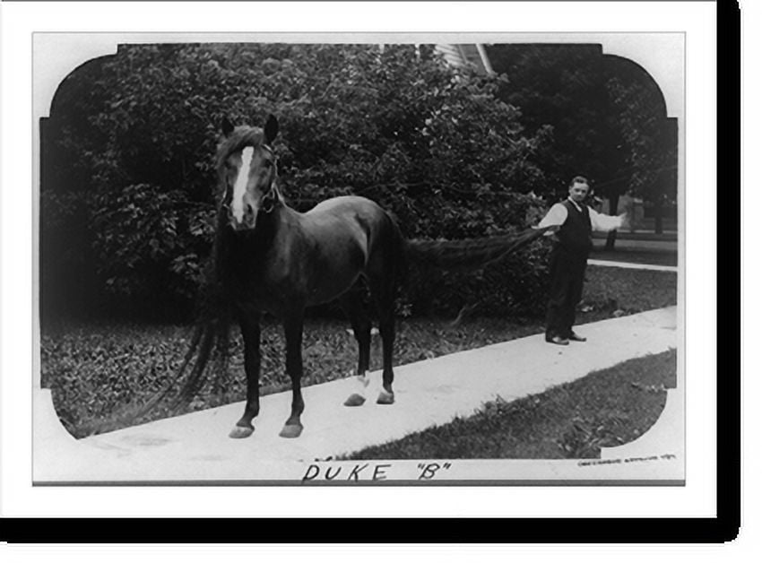 Historic Print, Duke B"", 16" x 20"