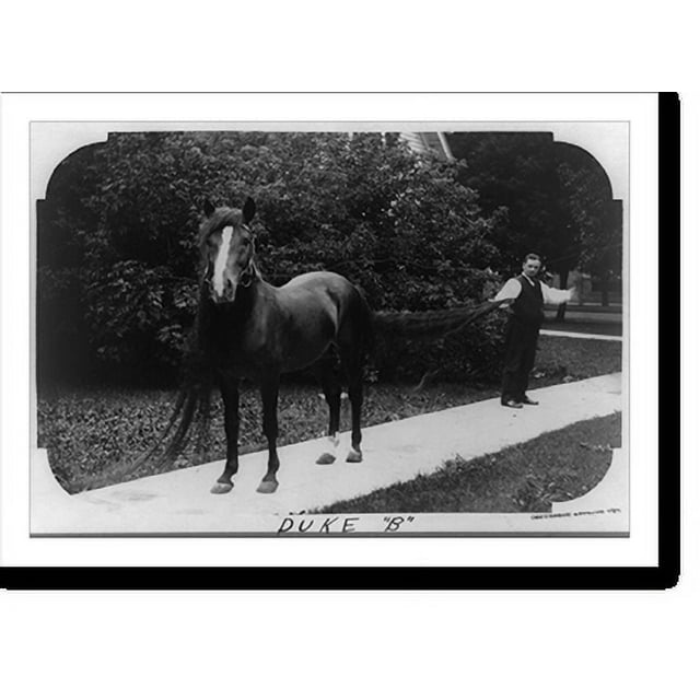 Historic Print, Duke B"", 16" x 20"