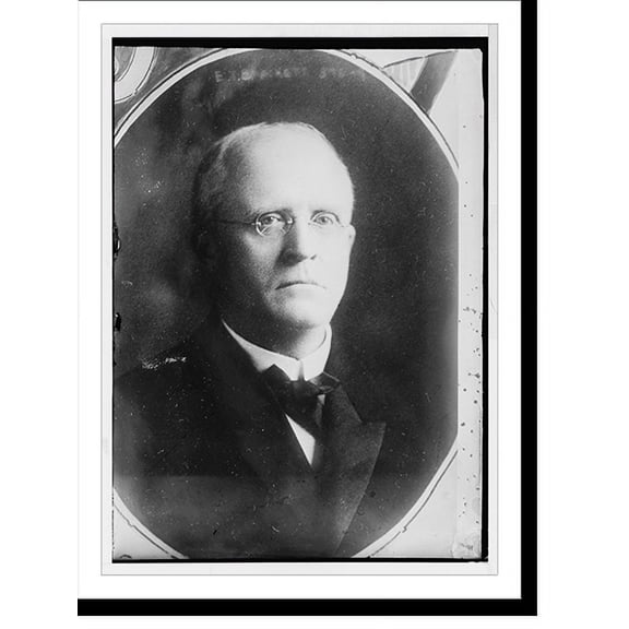 Historic Print, E.T. Brackett, cameo portrait, 18" x 24"