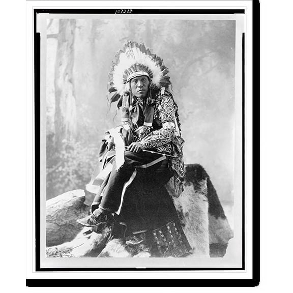 Historic Print, [Eagle Bear, full-length portrait, seated, facing front], 18" x 24"
