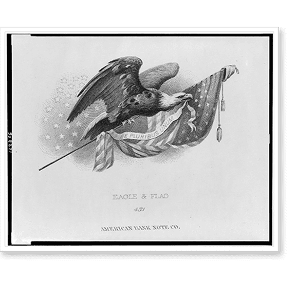 Historic Print, Eagle & flag.American Bank Note Co., 18" x 24"