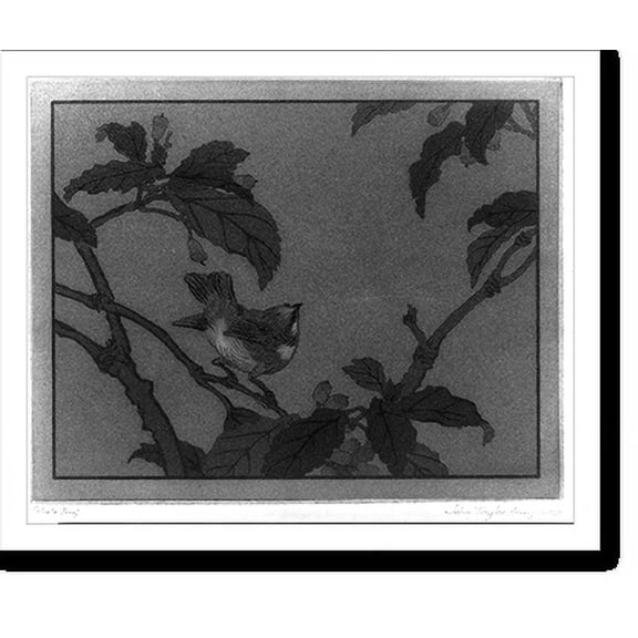 Historic Print, Early bird, 18" x 24"