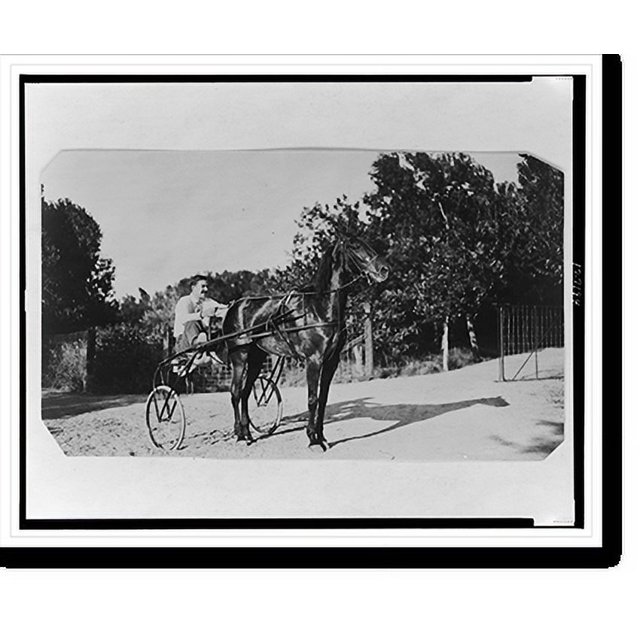 Historic Print, [Edward Beale McLean on horsedrawn cart on the McLean