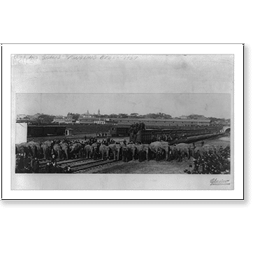 Historic Print, [Elephants from Ringling Bros.. Circus, trains and crowd of people], 16" x 20"