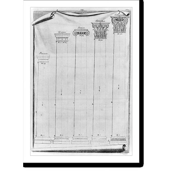 Historic Print, [Examples of 5 types of classical columns: Tuscan, Doric, Ionic, Corinthian, and composite], 18" x 24"