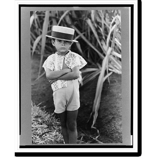 Historic Print, Farm boy along the road near Corozal, Puerto Rico, 16