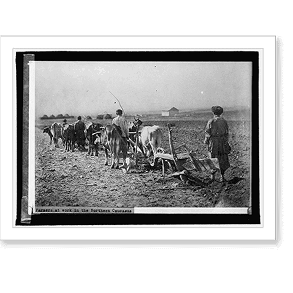 Historic Print, Farmers at work in the northern Caucasus, 18" x 24"