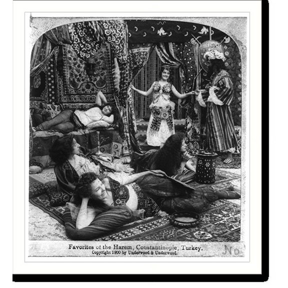 Historic Print, Favorites of the harem, Constantinople, Turkey, 16" x 20"
