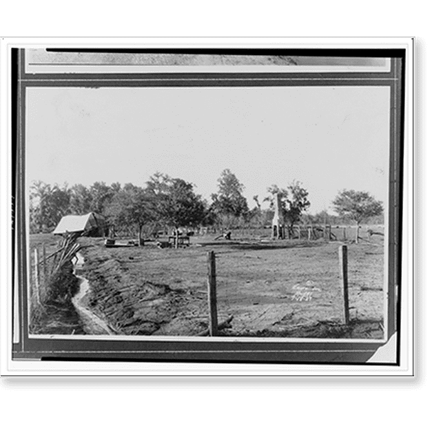 Historic Print, [Fencing and a chimney are all that remain on a