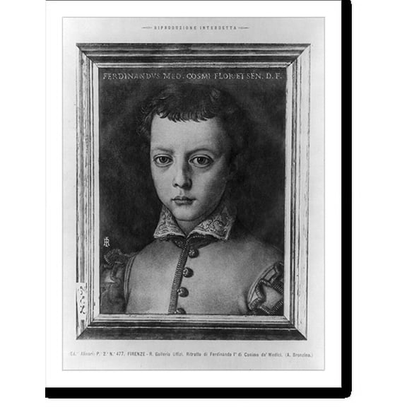 Historic Print, [Ferdinand I, King of Naples, 1423-1494, bust portrait, facing left], 16" x 20"