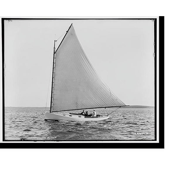 Historic Print, Firefly, 18" x 24"