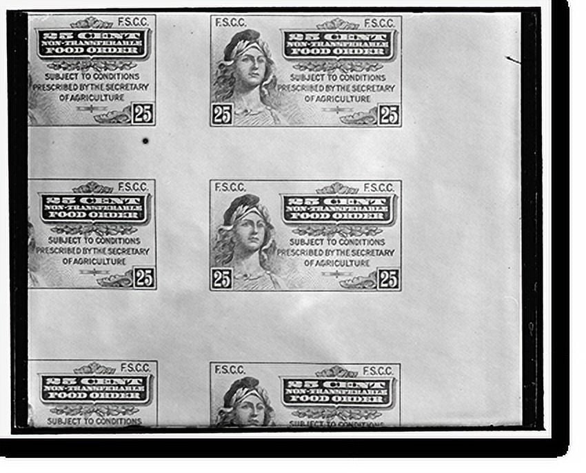 Historic Print, First food stamp. Washington, D.C., April 20. The first