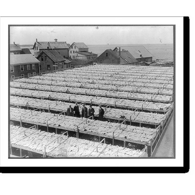 Historic Print, [Fish drying on openair tables, Gloucester, Mass.], 16