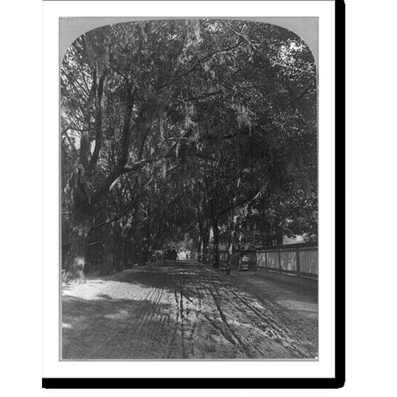 Historic Print, Florida - Sunshine and Shadow - King Street - St. Augustine, 16" x 20"