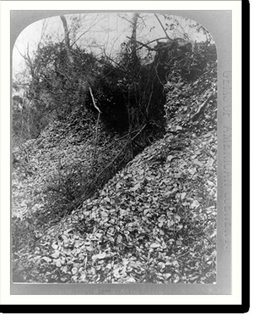Historic Print, Florida. the shell mounds. Ft. Id..Geo. Barker