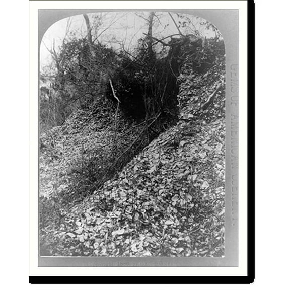 Historic Print, Florida. the shell mounds. Ft. George Id..Geo. Barker, photographer, Niagara Falls, N.Y., 18" x 24"