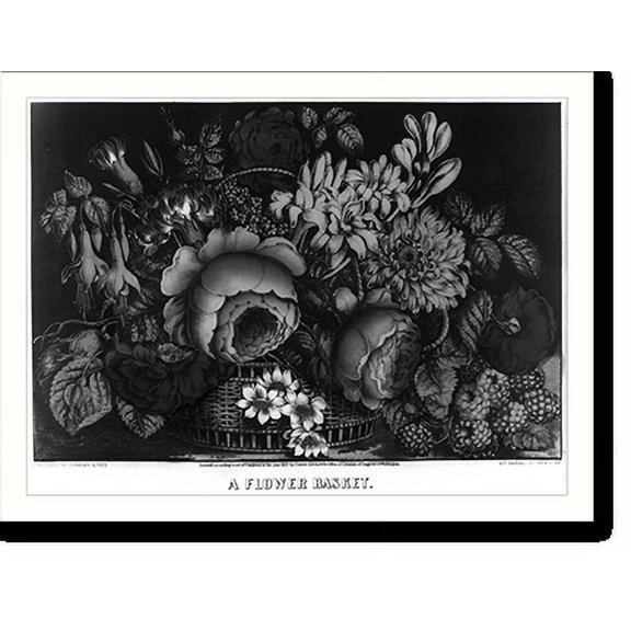 Historic Print, Flower basket, 18" x 24"