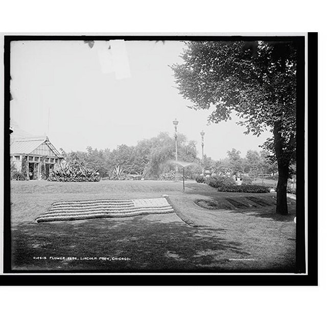 Historic Print, Flower flag, Lincoln Park, Chicago, 16" x 20"