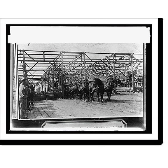 Historic Print, Food Adm. sugar, receiving beets in factory shed, Oxnard, [California], factory, 16" x 20"