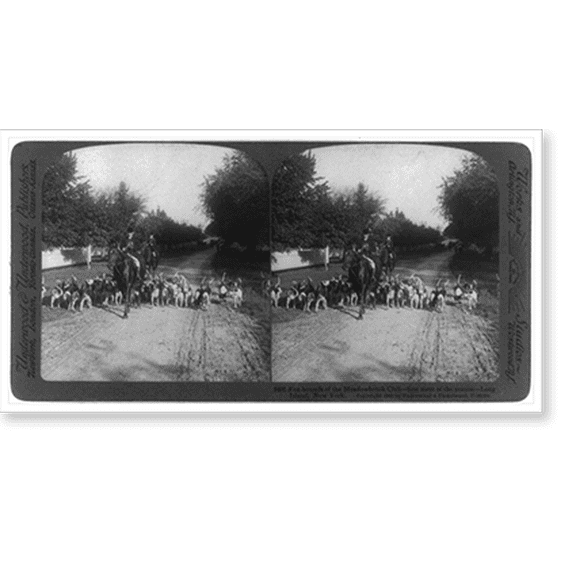 Historic Print, Fox hounds of the Meadowbrook Club. first meet of the season. Long Island New York, 16" x 20"