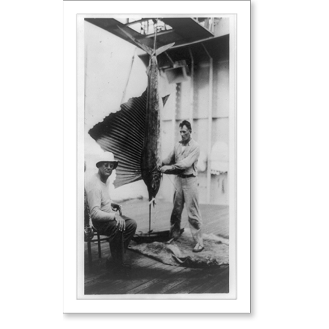 Historic Print, [Franklin D. Roosevelt seated alongside sailfish and