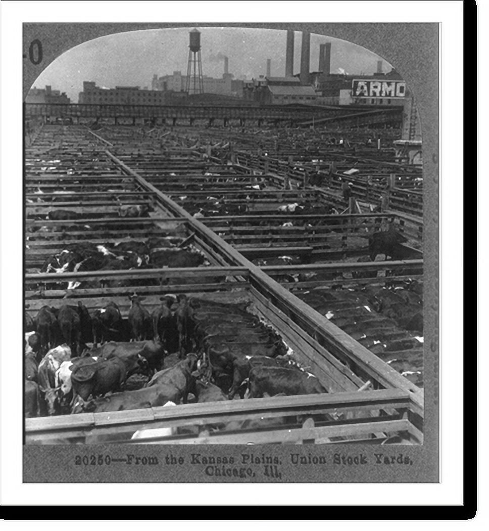 Historic Print, From the Kansas Plains" (Union Stock Yards)", 16" x 20