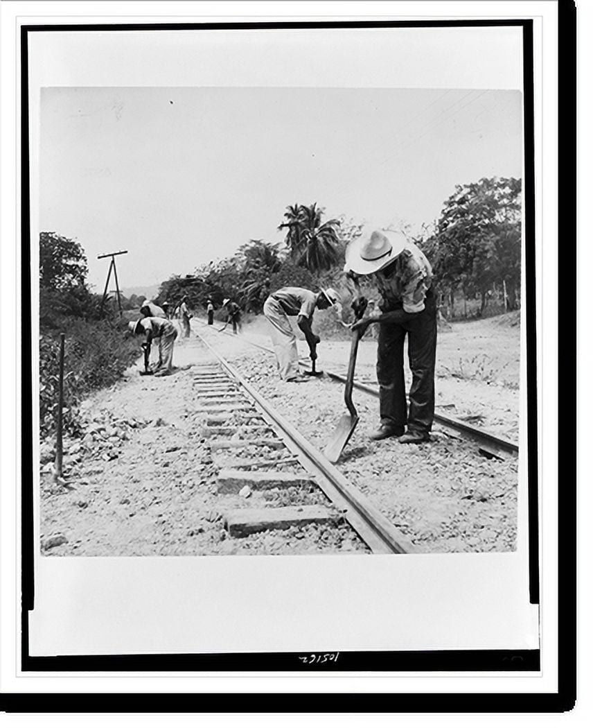 Historic Print, [Gandy dancers pushing ballast underneath tracks of the