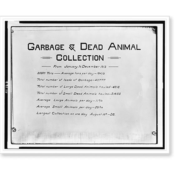 Historic Print, Garbage & dead animal collection. From January to December 1913, 16" x 20"