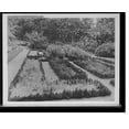 thumbnail image 1 of Historic Print, Gardens, Chestnut Hill, Brookline [sic], Mass., 16" x 20", 1 of 3
