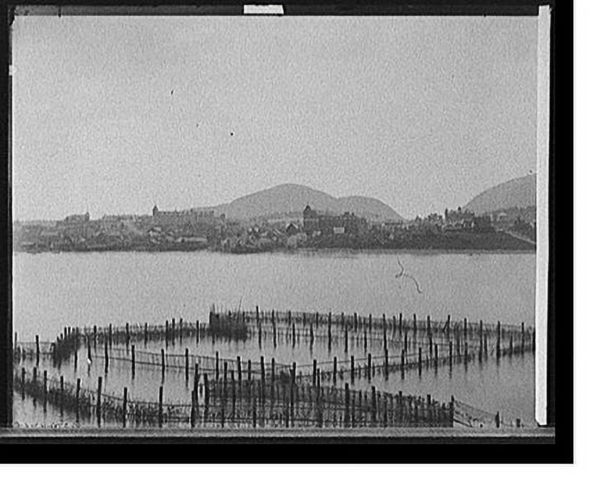 Historic Print, [General view, Bar Harbor, Maine] 3, 16" x 20