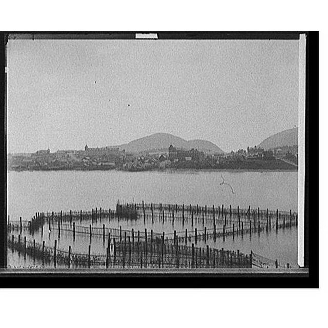 Historic Print, [General view, Bar Harbor, Maine] 3, 16" x 20