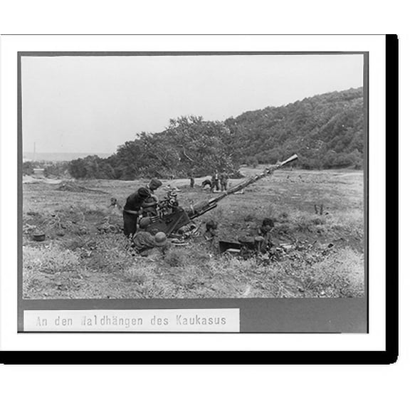 Historic Print, [German artillery on Russian front, August 15-21, 1942: anti-aircraft unit at edge of woods in Caucasus], 18" x 24"