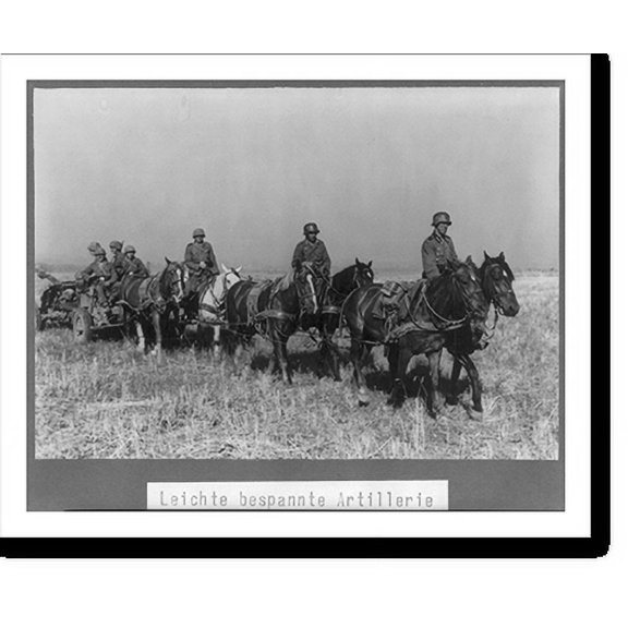Historic Print, [German artillery on Russian front, August 15-21, 1942: horse-drawn light artillery unit moving], 16" x 20"