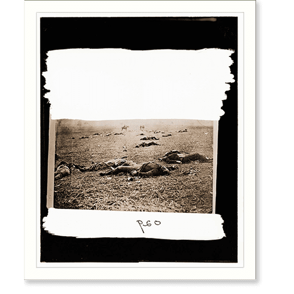 Historic Print, Gettysburg Pennsylvania. Bodies of dead on right of Federal line, 18" x 24"