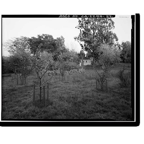 Historic Print, Gold Ridge Farm, 7777 Bodega Avenue, Sebastopol, Sonoma County, CA - 22, 18" x 24"