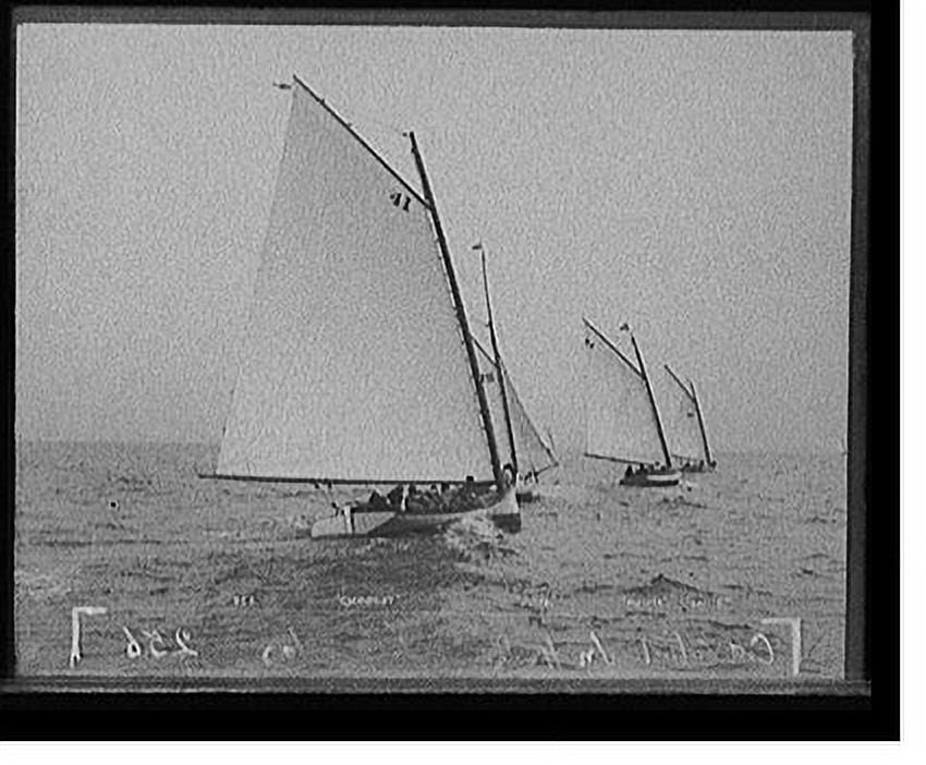 Historic Print, Golddust, Julie, Melita, [and] Lassie, 16" x 20