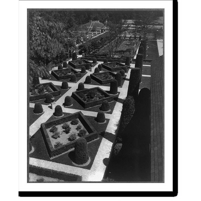 Historic Print, Governor's Palace, Williamsburg, Va. Gardens topiary