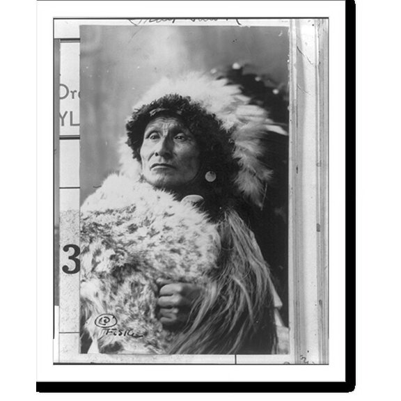 Historic Print, Gray Hawk, 16" x 20"