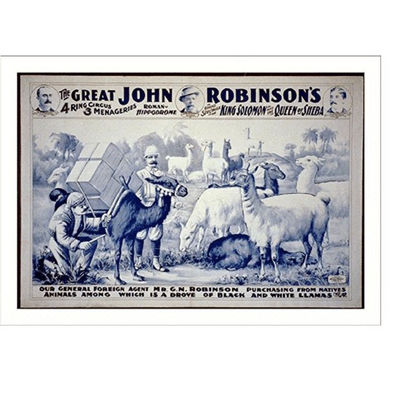 Historic Print, The Great John Robinson's 4 Ring Circus...Our General Foreign Agent Mr. G.N. Robinson purchasing...a drove of black & white llamas - 2, 18" x 24"